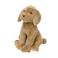 Happy Horse knuffel hond Brownie - 25 cm