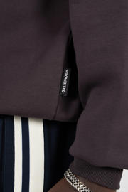 thumbnail: Prohibited hoodie donkerbruin