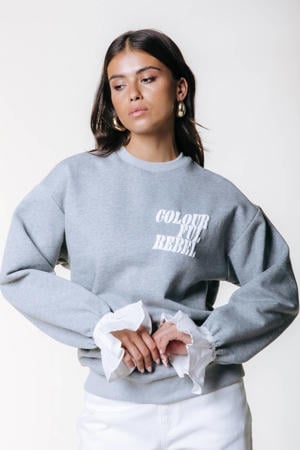 sweater grijs
