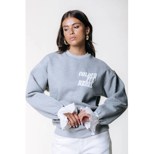 Colourful Rebel sweater grijs afbeelding