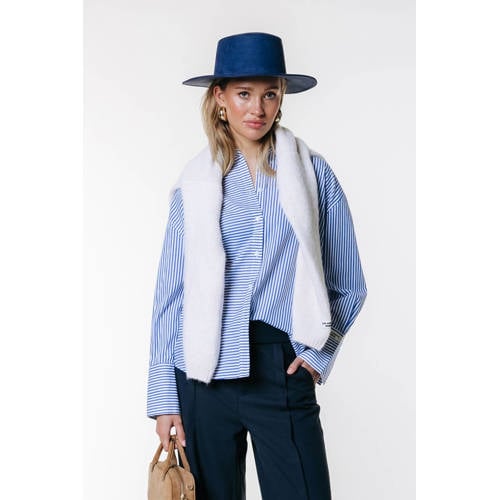 Colourful Rebel blouse met backprint met krijtstreep blauw afbeelding