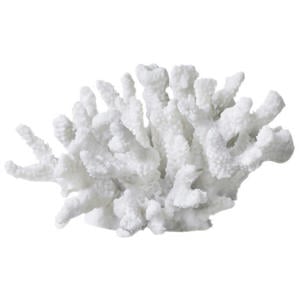 ornament Coral
