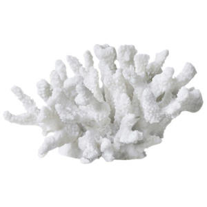 ornament Coral