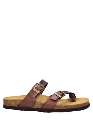 slippers bruin