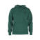 Björn Borg hoodie BORG groen