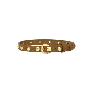 riem Stella met studs bruin