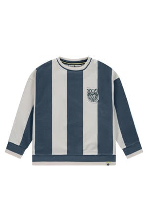 gestreepte sweater blauw