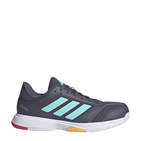 zaalsportschoenen