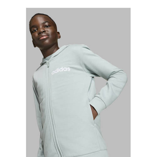 adidas Sportswear joggingpak Essentials mintgroen/grijs afbeelding
