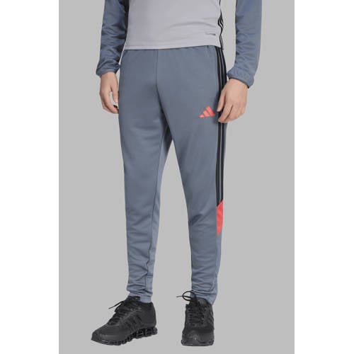 adidas Performance Senior trainingsbroek Tiro26 grijs afbeelding