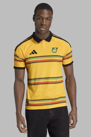 Senior Jamaica voetbalshirt Thuis