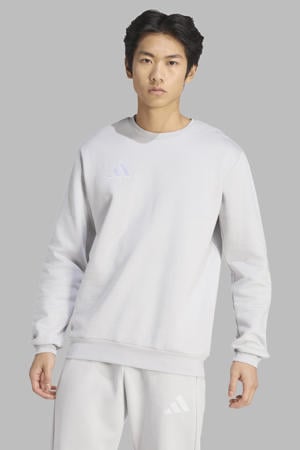 Senior voetbalsweater Entrada26 lichtgrijs