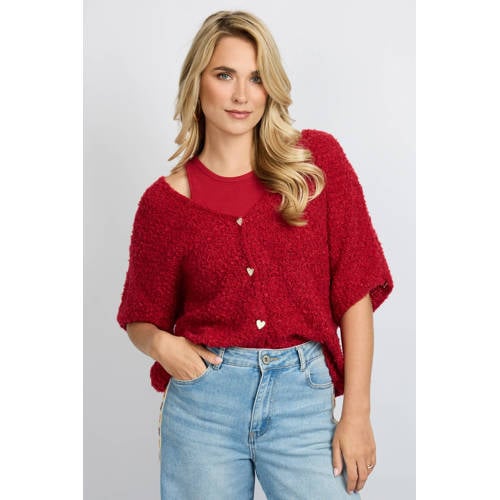 FLURESK gebreid vest rood afbeelding