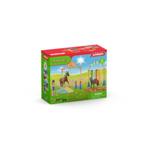 Pony agility training