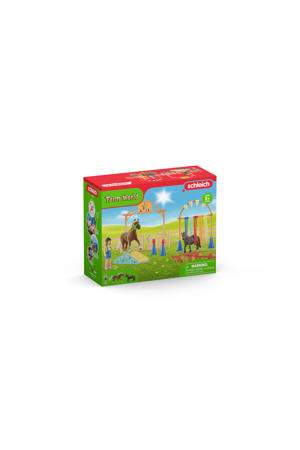 Pony agility training