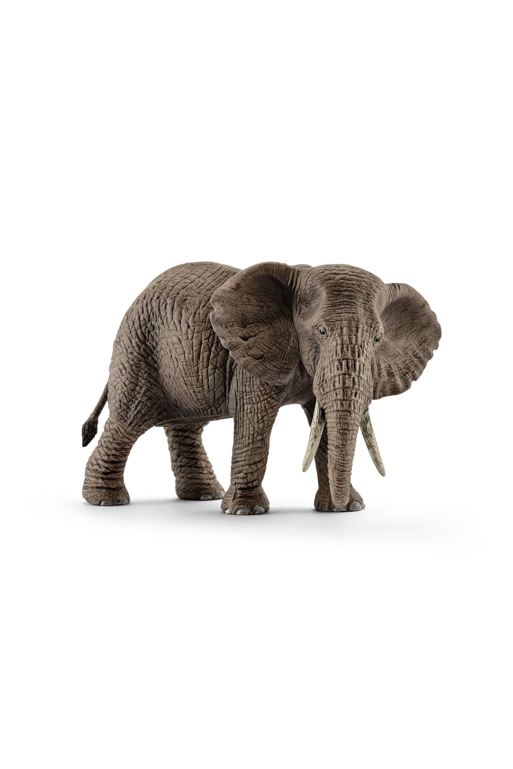 Schleich Wild Life Afrikaanse olifantenkoe
