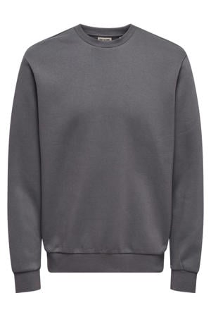 sweater grijs