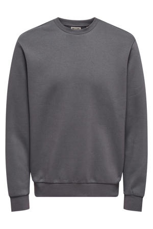sweater grijs