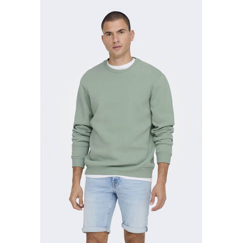 ONLY & SONS sweater groen afbeelding