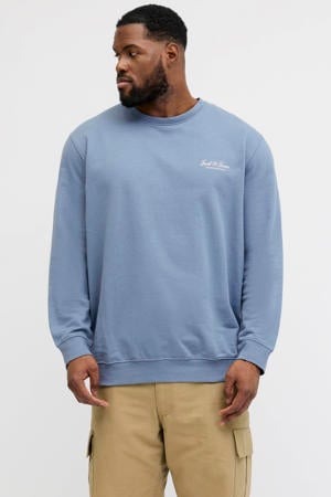 sweater Plus Size blauw