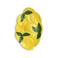 &k amsterdam serveerbord Lemon (28x19 cm)