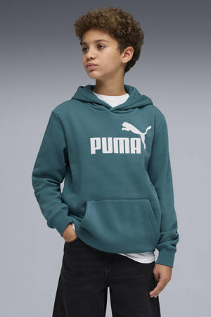 hoodie petrol