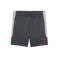 Puma voetbalshort grijs/rood