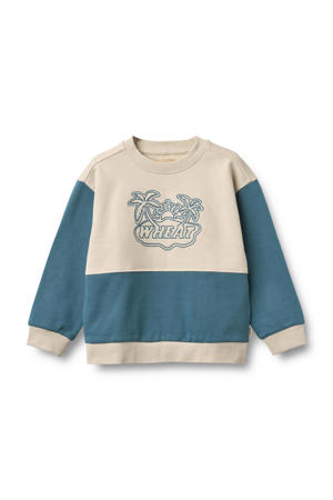 sweater blauw