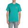 REPLAY regular T-shirt met backprint turquoise