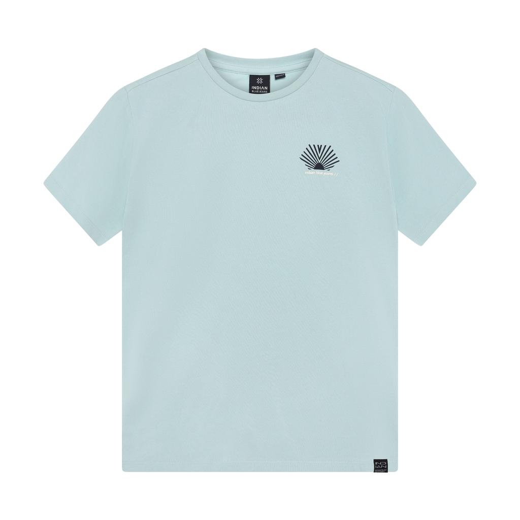 Lichtblauwe jongens Indian Blue Jeans T-shirt van stretchkatoen met backprint, korte mouwen en ronde hals