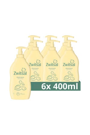 shampoo - 6 x 400 ml