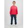 Raizzed sweater met backprint rood