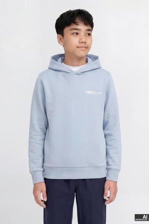 hoodie lichtblauw