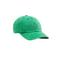 Levi's pet LS Monogram groen