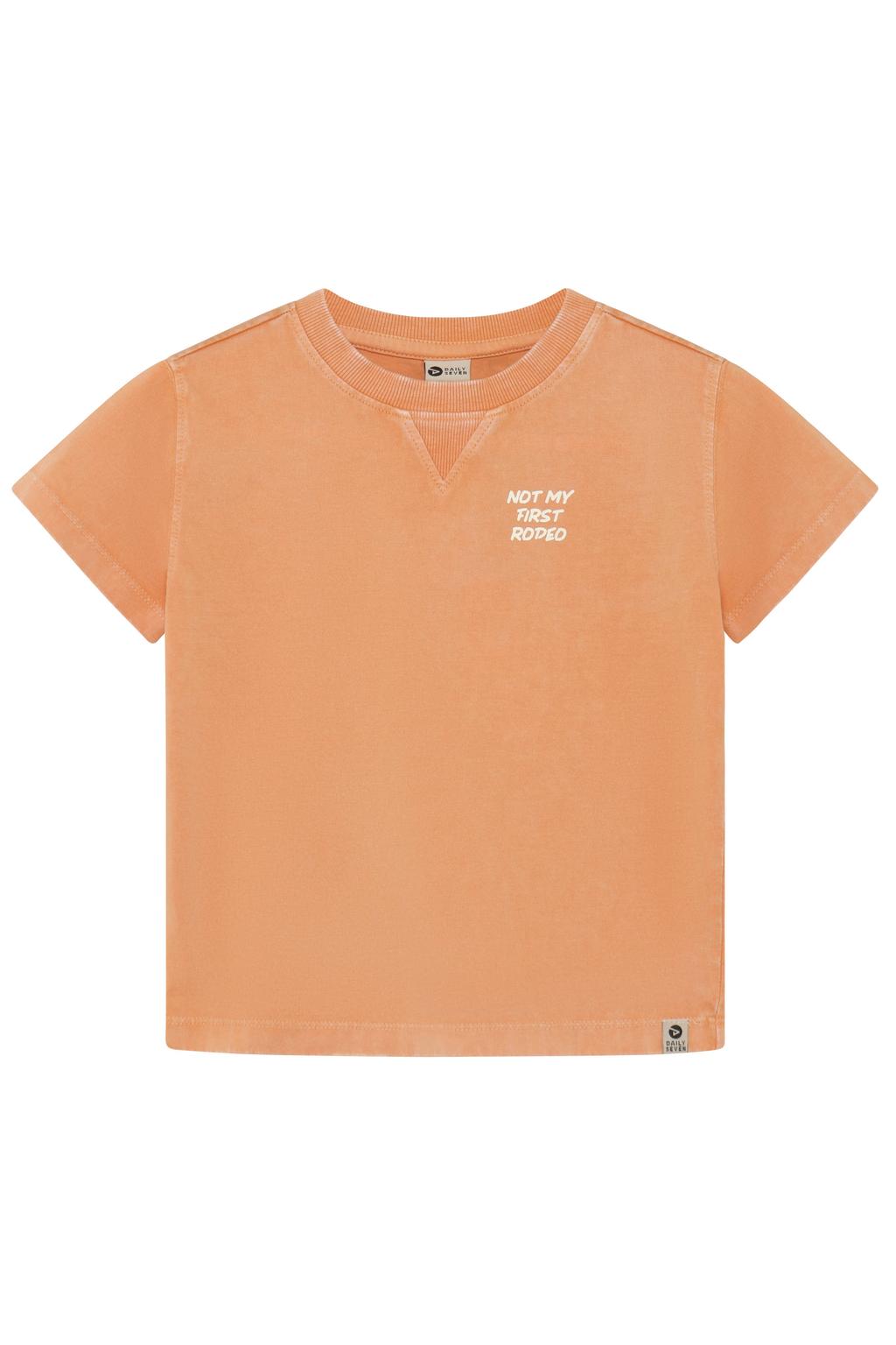Bruine jongens Daily7 T-shirt van katoen met backprint, korte mouwen en ronde hals
