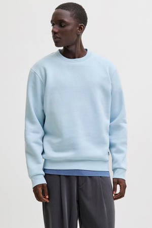 sweater lichtblauw