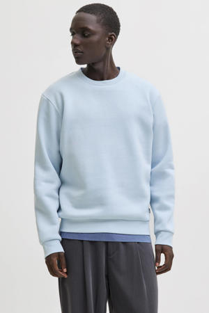 sweater lichtblauw