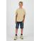 Raizzed T-shirt met backprint zand
