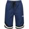 Raizzed relaxed regular waist casual short donkerblauw met textuur