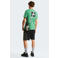 The North Face T-shirt Evolution NSE groen