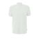 QS regular polo