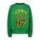 Vingino sweater groen