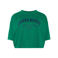 CALVIN KLEIN JEANS T-shirt donkergroen