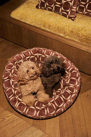 Hondenmand rond SQUARE-CIRCLE-ROUND-BED-BROWN/YELLOW-S