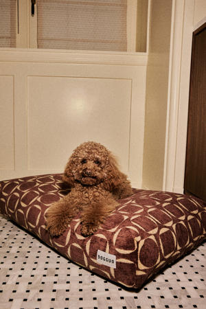 Hondenkussen SQUARE-CIRCLE-BED-BROWN/YELLOW-M
