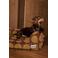 Dogguo Hondenmand DOT-SOFA-BROWN/GREEN-L