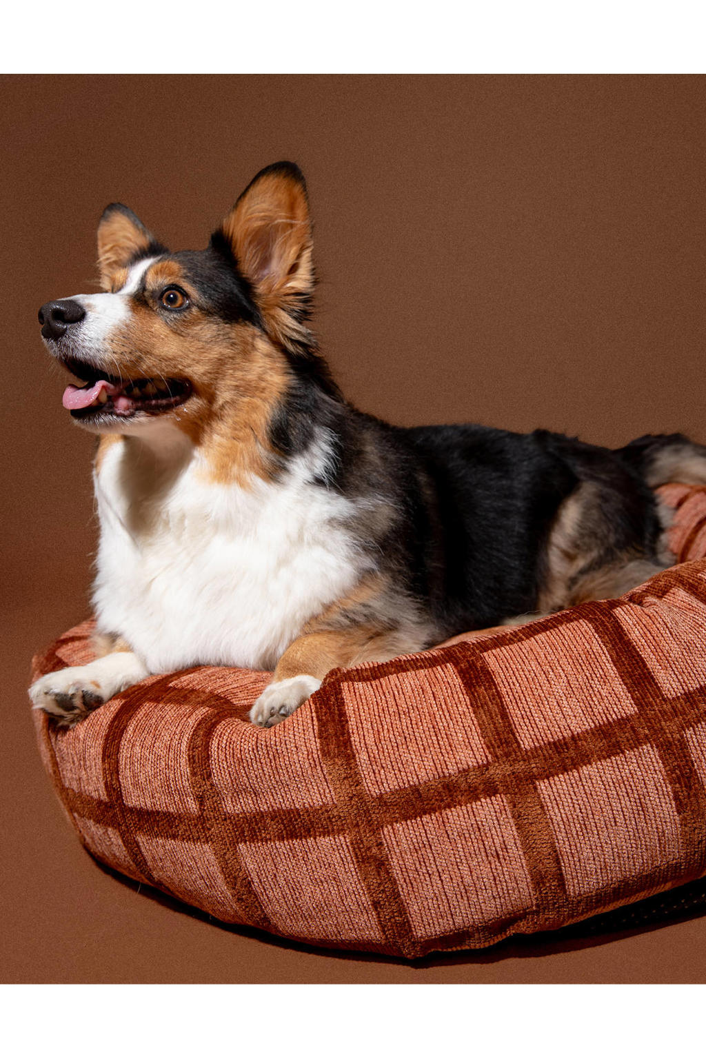 Dogguo Hondenmand rond CHECK-ROUND-BED-MOCHA/BROWN-M