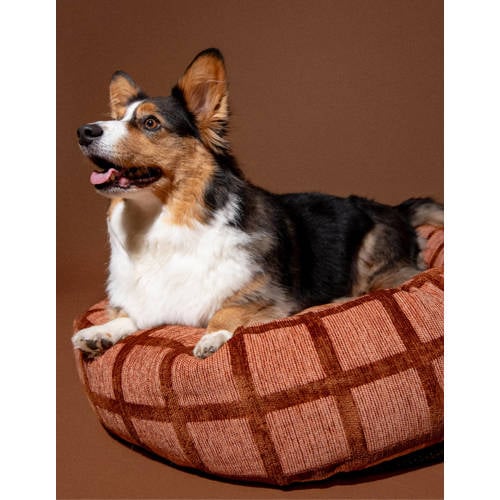 Dogguo Hondenmand rond CHECK-ROUND-BED-MOCHA/BROWN-M afbeelding