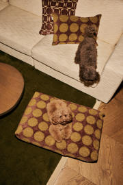 thumbnail: Dogguo Sierkussen DOT-CUSHION-BROWN/GREEN (60X40 cm)