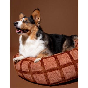 Hondenmand rond CHECK-ROUND-BED-MOCHA/BROWN-S